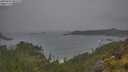 ./images/calvert/foggy-cove/20250624/foggy-cove20250624_095510M.jpg