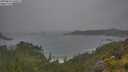 ./images/calvert/foggy-cove/20250624/foggy-cove20250624_100009M.jpg