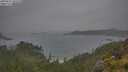 ./images/calvert/foggy-cove/20250624/foggy-cove20250624_101010M.jpg