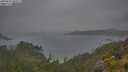 ./images/calvert/foggy-cove/20250624/foggy-cove20250624_101511M.jpg