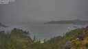 ./images/calvert/foggy-cove/20250624/foggy-cove20250624_103010M.jpg
