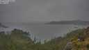 ./images/calvert/foggy-cove/20250624/foggy-cove20250624_104511M.jpg