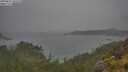 ./images/calvert/foggy-cove/20250624/foggy-cove20250624_105508M.jpg