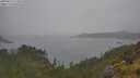./images/calvert/foggy-cove/20250624/foggy-cove20250624_111010M.jpg