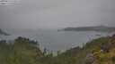 ./images/calvert/foggy-cove/20250624/foggy-cove20250624_113506M.jpg
