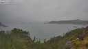 ./images/calvert/foggy-cove/20250624/foggy-cove20250624_120010M.jpg