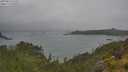 ./images/calvert/foggy-cove/20250624/foggy-cove20250624_120511M.jpg