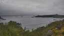 ./images/calvert/foggy-cove/20250624/foggy-cove20250624_121009M.jpg