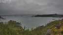 ./images/calvert/foggy-cove/20250624/foggy-cove20250624_122011M.jpg