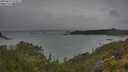 ./images/calvert/foggy-cove/20250624/foggy-cove20250624_123011M.jpg