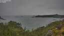 ./images/calvert/foggy-cove/20250624/foggy-cove20250624_124511M.jpg