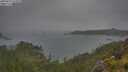 ./images/calvert/foggy-cove/20250624/foggy-cove20250624_132010M.jpg