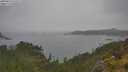 ./images/calvert/foggy-cove/20250624/foggy-cove20250624_133509M.jpg