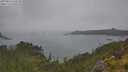 ./images/calvert/foggy-cove/20250624/foggy-cove20250624_134510M.jpg