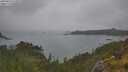 ./images/calvert/foggy-cove/20250624/foggy-cove20250624_135009M.jpg