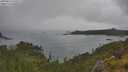 ./images/calvert/foggy-cove/20250624/foggy-cove20250624_135510M.jpg