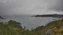 ./images/calvert/foggy-cove/20250624/foggy-cove20250624_140013M.jpg