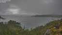 ./images/calvert/foggy-cove/20250624/foggy-cove20250624_145011M.jpg