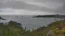 ./images/calvert/foggy-cove/20250624/foggy-cove20250624_150011M.jpg