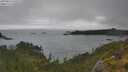 ./images/calvert/foggy-cove/20250624/foggy-cove20250624_150509M.jpg
