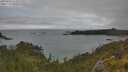 ./images/calvert/foggy-cove/20250624/foggy-cove20250624_151009M.jpg