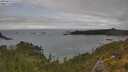 ./images/calvert/foggy-cove/20250624/foggy-cove20250624_151508M.jpg