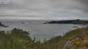 ./images/calvert/foggy-cove/20250624/foggy-cove20250624_153011M.jpg