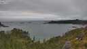 ./images/calvert/foggy-cove/20250624/foggy-cove20250624_155510M.jpg