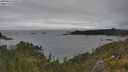 ./images/calvert/foggy-cove/20250624/foggy-cove20250624_160508M.jpg