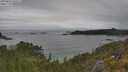 ./images/calvert/foggy-cove/20250624/foggy-cove20250624_161511M.jpg