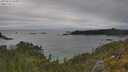./images/calvert/foggy-cove/20250624/foggy-cove20250624_162012M.jpg
