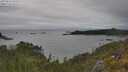 ./images/calvert/foggy-cove/20250624/foggy-cove20250624_162509M.jpg