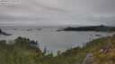 ./images/calvert/foggy-cove/20250624/foggy-cove20250624_163510M.jpg