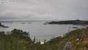./images/calvert/foggy-cove/20250624/foggy-cove20250624_165510M.jpg