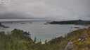 ./images/calvert/foggy-cove/20250624/foggy-cove20250624_170509M.jpg