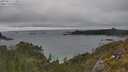 ./images/calvert/foggy-cove/20250624/foggy-cove20250624_172009M.jpg
