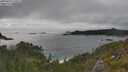 ./images/calvert/foggy-cove/20250624/foggy-cove20250624_173509M.jpg