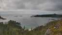 ./images/calvert/foggy-cove/20250624/foggy-cove20250624_174510M.jpg