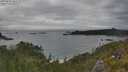 ./images/calvert/foggy-cove/20250624/foggy-cove20250624_182510M.jpg