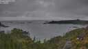 ./images/calvert/foggy-cove/20250624/foggy-cove20250624_195009M.jpg