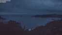 ./images/calvert/foggy-cove/20250625/foggy-cove20250625_043009M.jpg