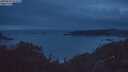 ./images/calvert/foggy-cove/20250625/foggy-cove20250625_043509M.jpg