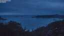 ./images/calvert/foggy-cove/20250625/foggy-cove20250625_044008M.jpg