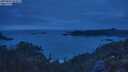 ./images/calvert/foggy-cove/20250625/foggy-cove20250625_045007M.jpg