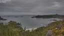 ./images/calvert/foggy-cove/20250625/foggy-cove20250625_054008M.jpg
