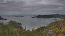 ./images/calvert/foggy-cove/20250625/foggy-cove20250625_055007M.jpg
