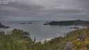 ./images/calvert/foggy-cove/20250625/foggy-cove20250625_055505M.jpg