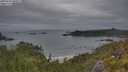 ./images/calvert/foggy-cove/20250625/foggy-cove20250625_060009M.jpg