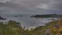 ./images/calvert/foggy-cove/20250625/foggy-cove20250625_061509M.jpg