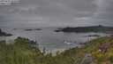 ./images/calvert/foggy-cove/20250625/foggy-cove20250625_063510M.jpg